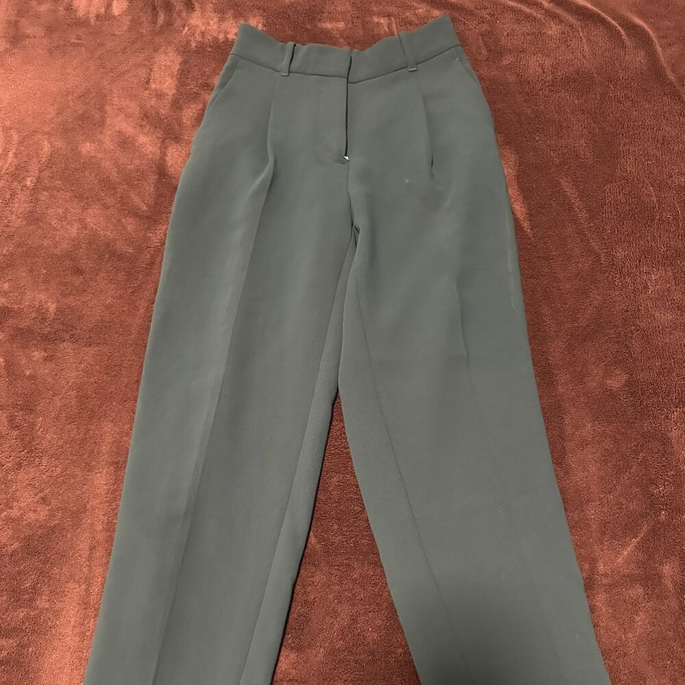 Aritzia Wilfred Green Dashwood Pants